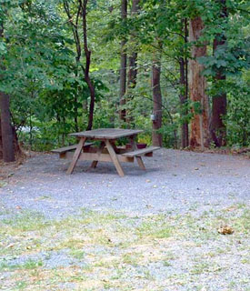 Private Wooded Campsites